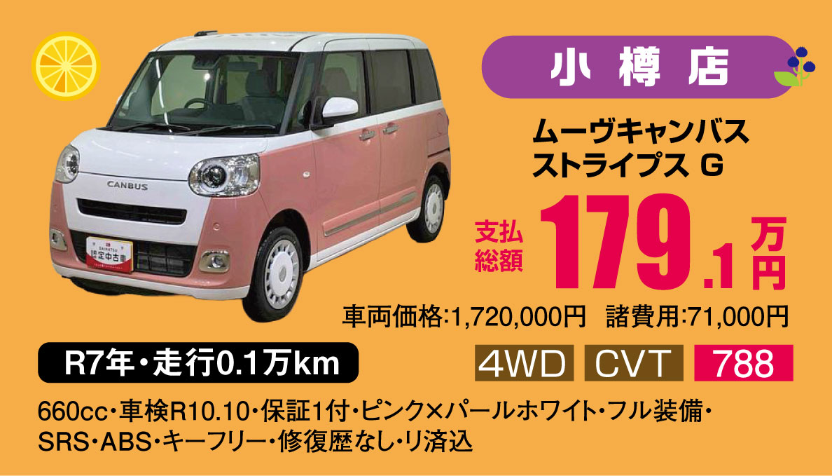 ムーヴキャンバス ストライプス G